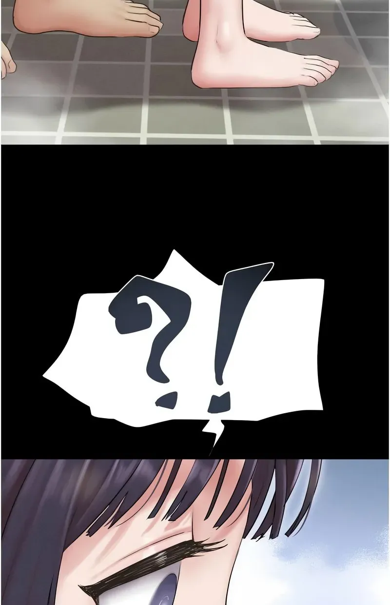 韶恩