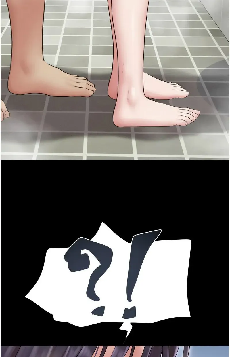 韶恩