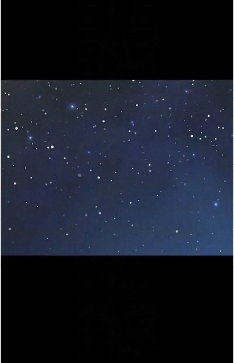韶恩