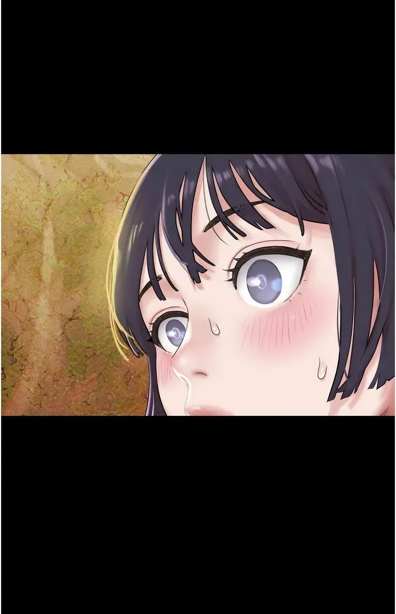 韶恩