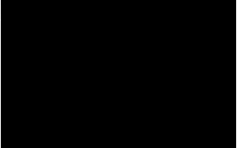 韶恩