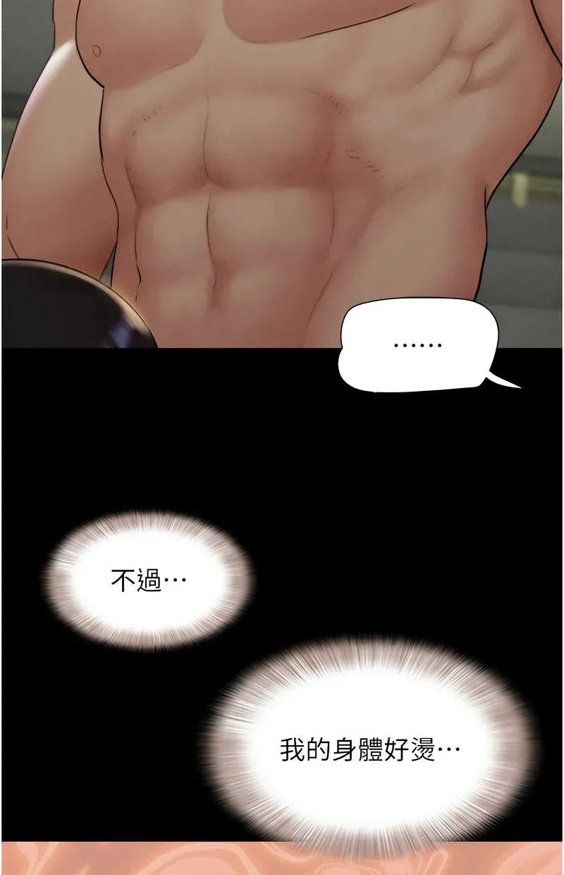 韶恩