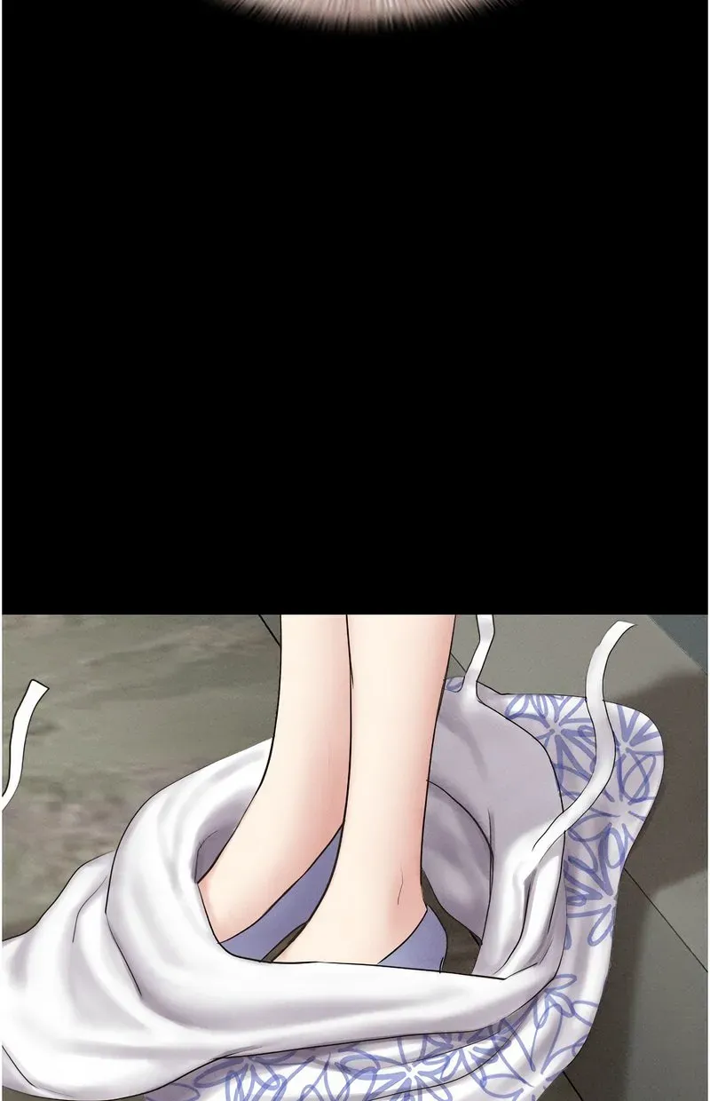 韶恩