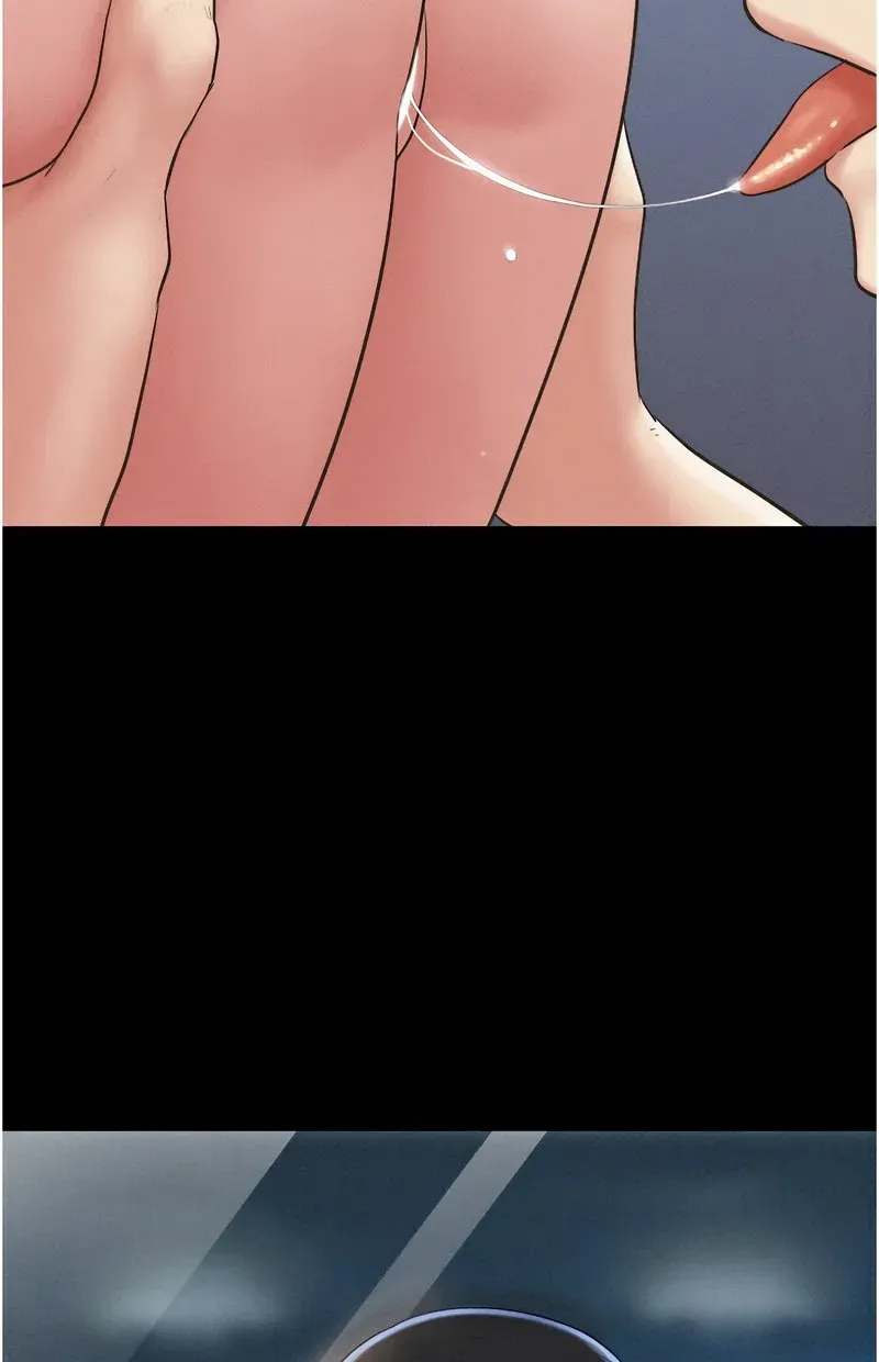 韶恩