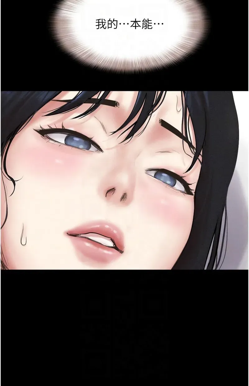 韶恩