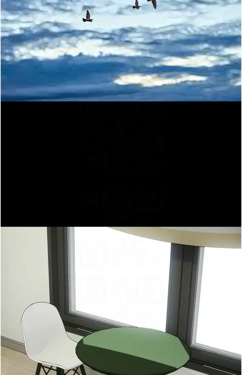 韶恩