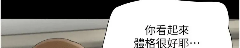 韶恩