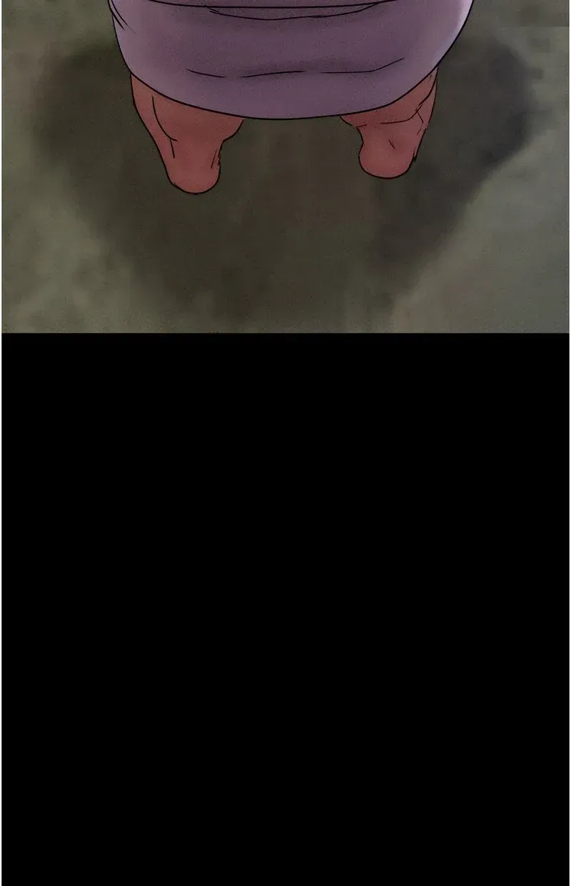 韶恩