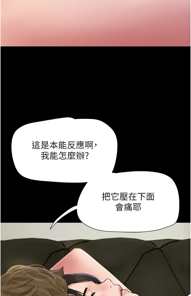 韶恩
