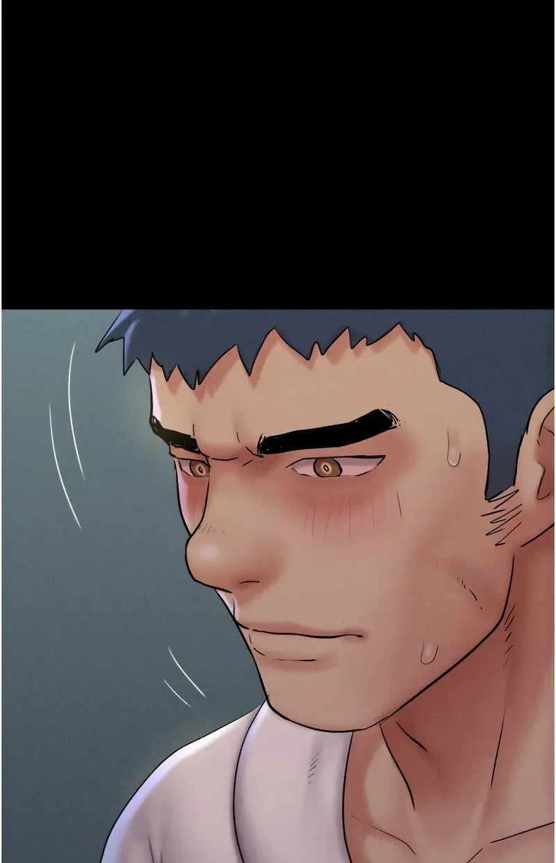 韶恩