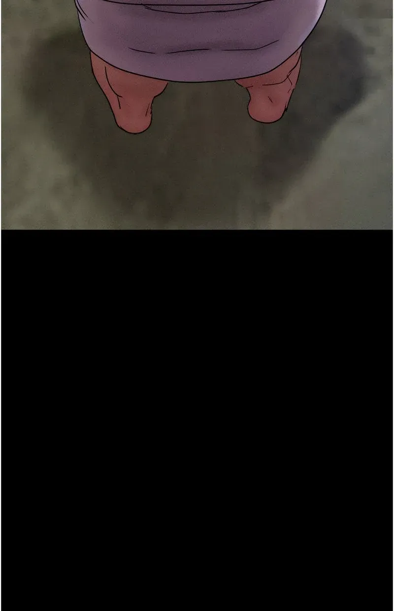 韶恩