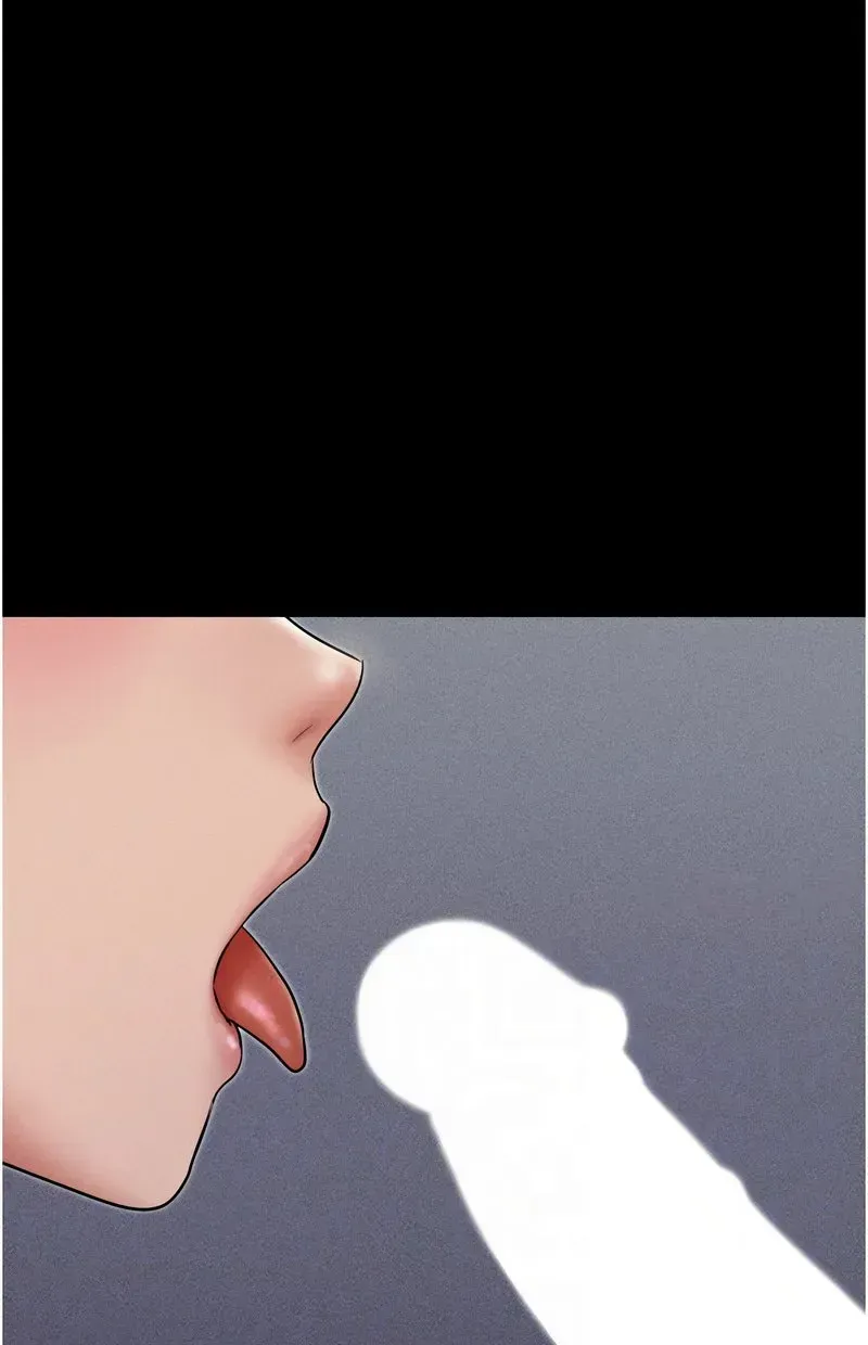 韶恩