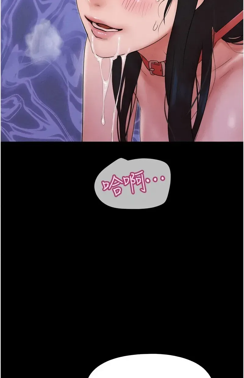 韶恩