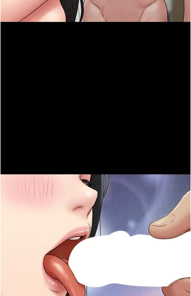 韶恩