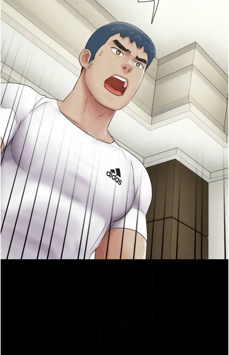 韶恩