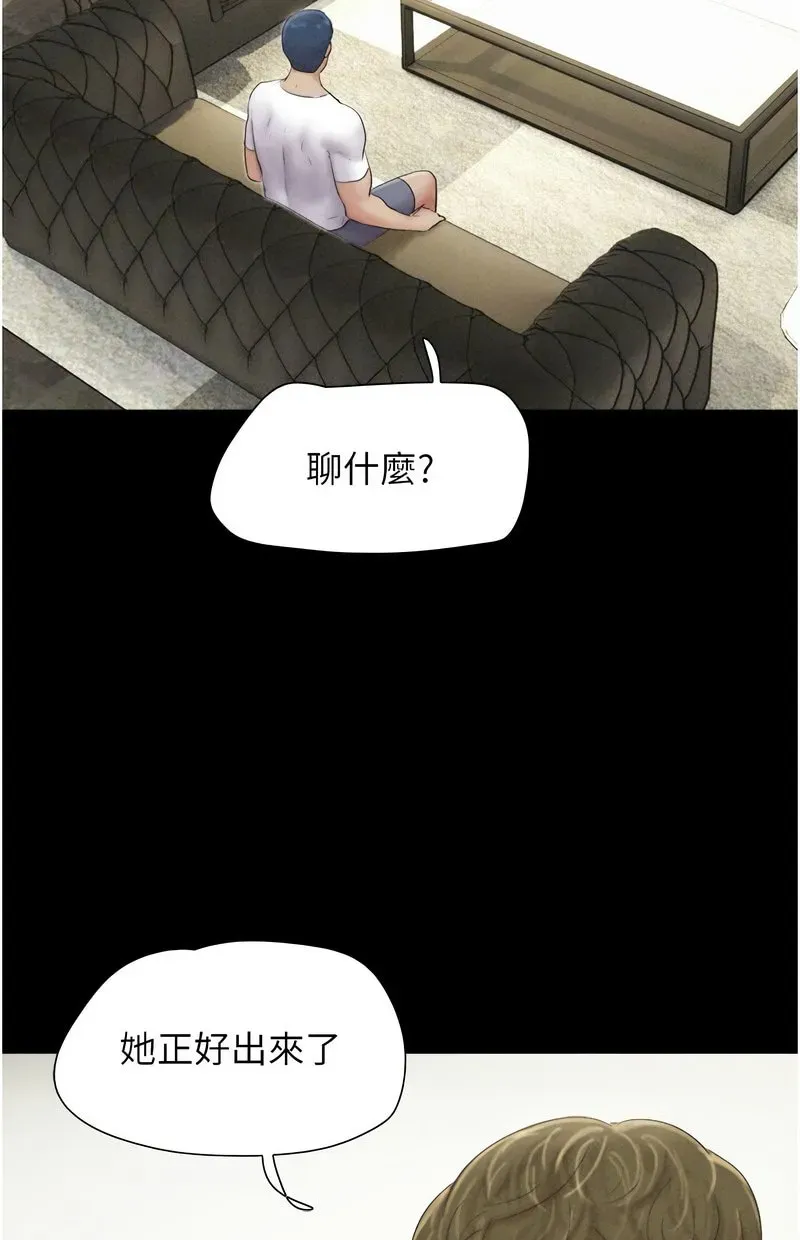 韶恩