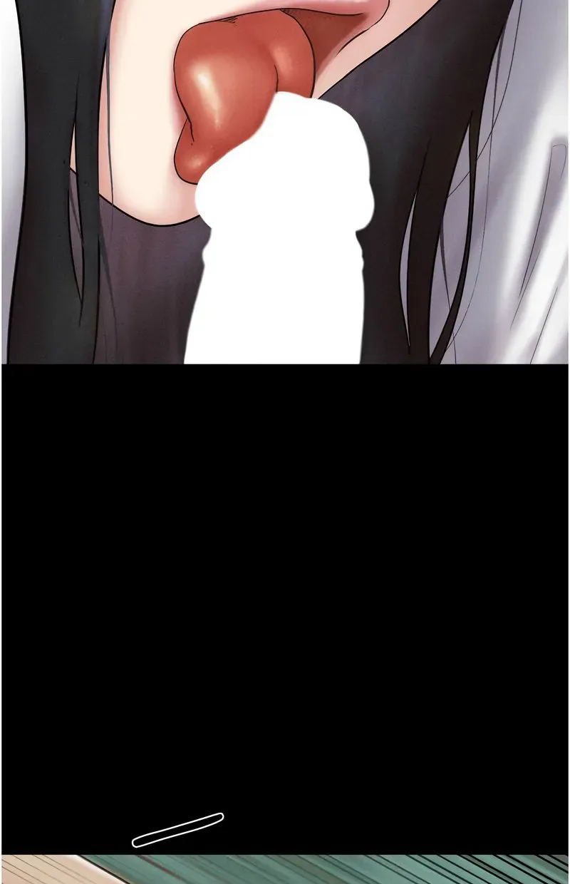 韶恩